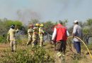 Bomberos, conaf y vecinos combaten incendio en la estrella