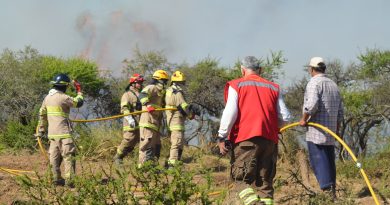 Bomberos, conaf y vecinos combaten incendio en la estrella