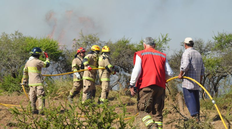 Bomberos, conaf y vecinos combaten incendio en la estrella