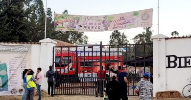 Incendio en la fiesta de la Vendimia en Marchigüe causa pánico en la masiva asistencia de público. El foco ígneo, se habría originado en una cocinería